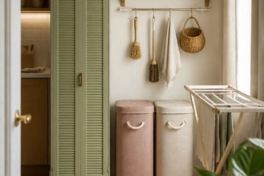 Small apartment laundry storage without a laundry room